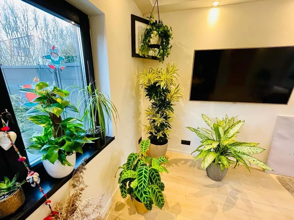 Town House With Garden - 1 Room With Shared Bathroom Bryssel